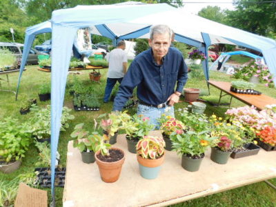 a man leans over a table of potted plants